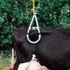 Hebegerät für Kühe VINK